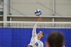 Volleyball vs Babson  Wheaton Women's Volleyball vs Babson College. - Photo by Keith Nordstrom : Wheaton, Volleyball, VB